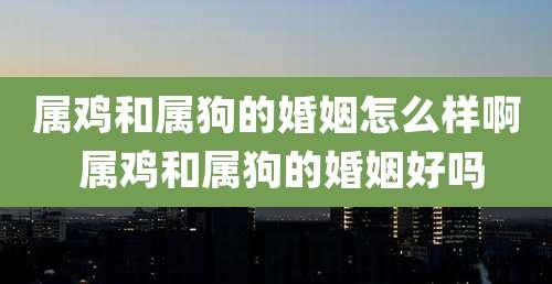 属鸡和属狗的婚姻怎么样啊 属鸡和属狗的婚姻好吗