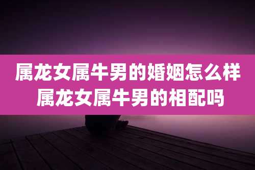 属龙女属牛男的婚姻怎么样 属龙女属牛男的相配吗