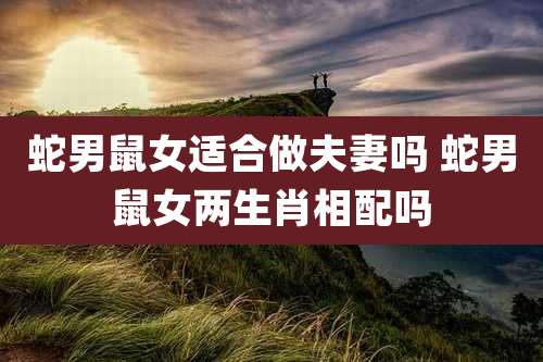 蛇男鼠女适合做夫妻吗 蛇男鼠女两生肖相配吗