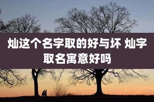 灿这个名字取的好与坏 灿字取名寓意好吗