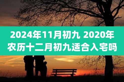 2024年11月初九 2020年农历十二月初九适合入宅吗