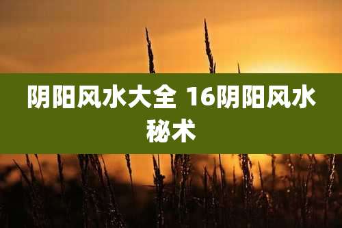 阴阳风水大全 16阴阳风水秘术