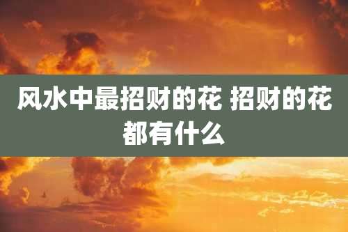 风水中最招财的花 招财的花都有什么