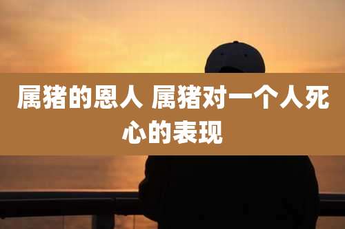 属猪的恩人 属猪对一个人死心的表现