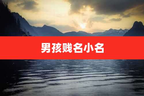 男孩贱名小名
