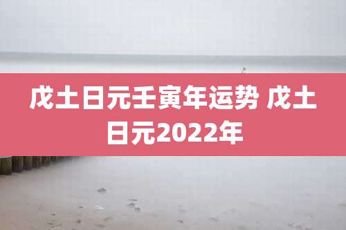 戊土日元壬寅年运势 戊土日元2022年