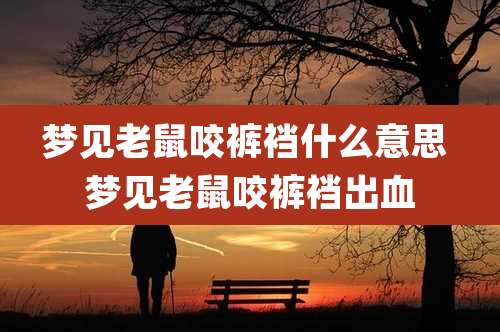 梦见老鼠咬裤裆什么意思 梦见老鼠咬裤裆出血