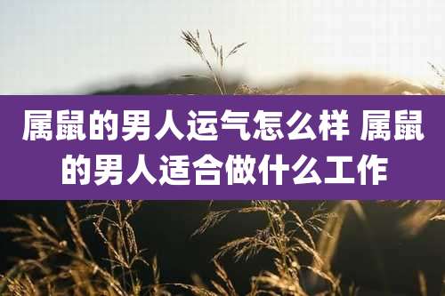 属鼠的男人运气怎么样 属鼠的男人适合做什么工作