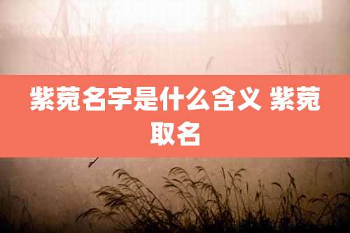 紫菀名字是什么含义 紫菀取名