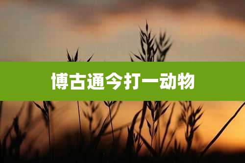 博古通今打一动物