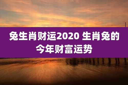 兔生肖财运2020 生肖兔的今年财富运势