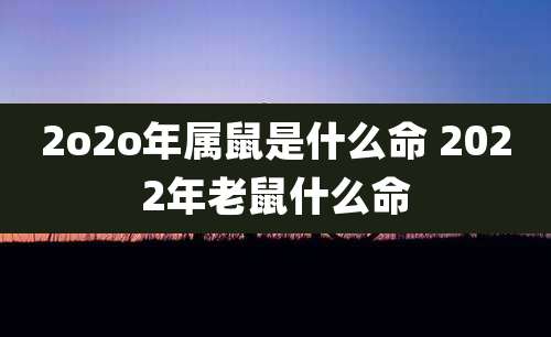 2o2o年属鼠是什么命 2022年老鼠什么命