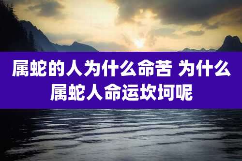 属蛇的人为什么命苦 为什么属蛇人命运坎坷呢