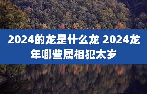 2024的龙是什么龙 2024龙年哪些属相犯太岁