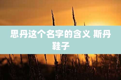 思丹这个名字的含义 斯丹鞋子