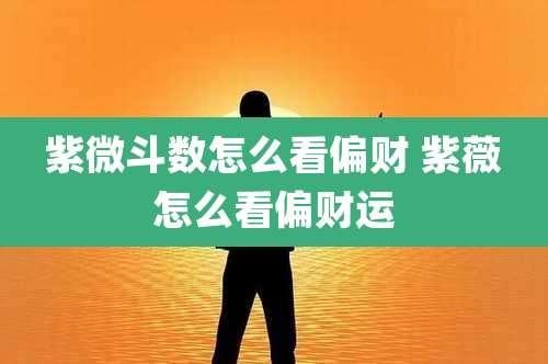 紫微斗数怎么看偏财 紫薇怎么看偏财运