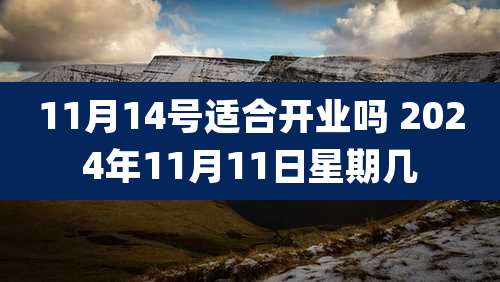 11月14号适合开业吗 2024年11月11日星期几