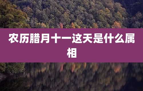 农历腊月十一这天是什么属相