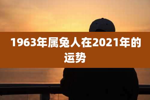 1963年属兔人在2021年的运势