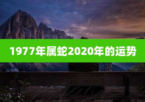 1977年属蛇2020年的运势