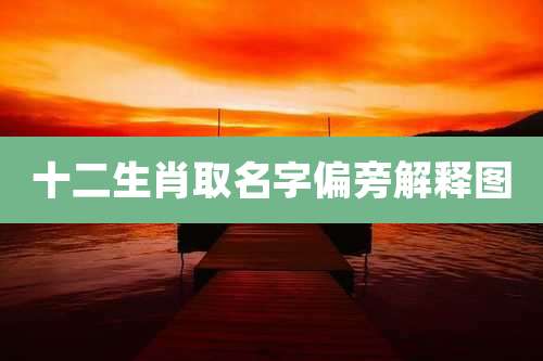 十二生肖取名字偏旁解释图