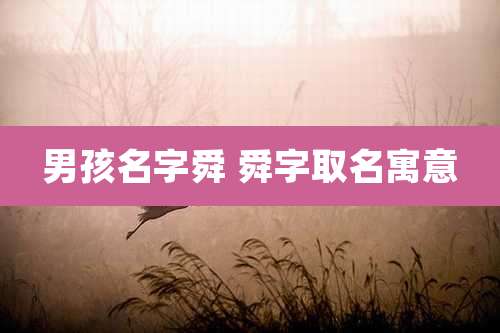 男孩名字舜 舜字取名寓意