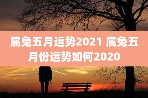 属兔五月运势2021 属兔五月份运势如何2020