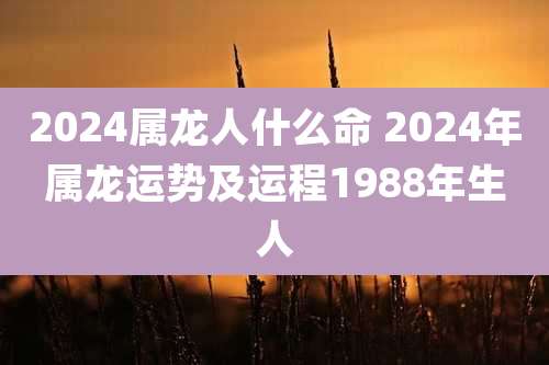 2024属龙人什么命 2024年属龙运势及运程1988年生人