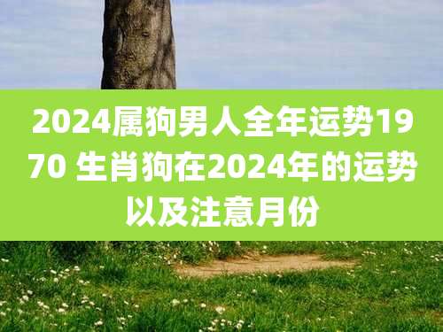 2024属狗男人全年运势1970 生肖狗在2024年的运势以及注意月份