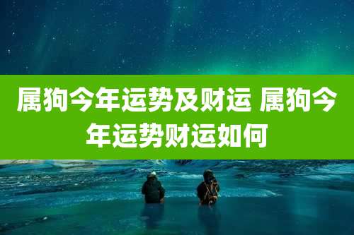 属狗今年运势及财运 属狗今年运势财运如何