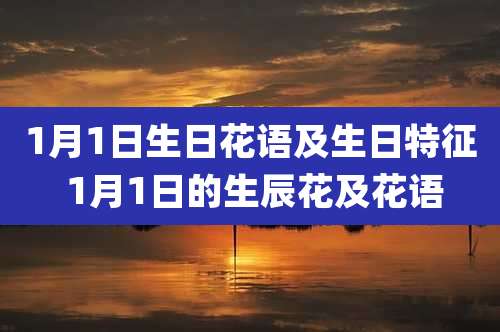 1月1日生日花语及生日特征 1月1日的生辰花及花语