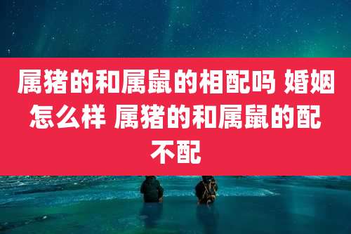 属猪的和属鼠的相配吗 婚姻怎么样 属猪的和属鼠的配不配