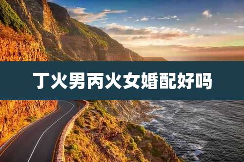 丁火男丙火女婚配好吗