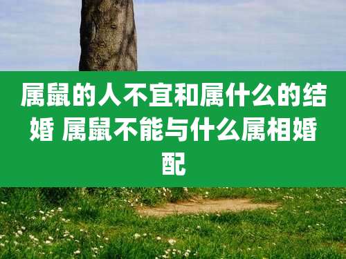 属鼠的人不宜和属什么的结婚 属鼠不能与什么属相婚配