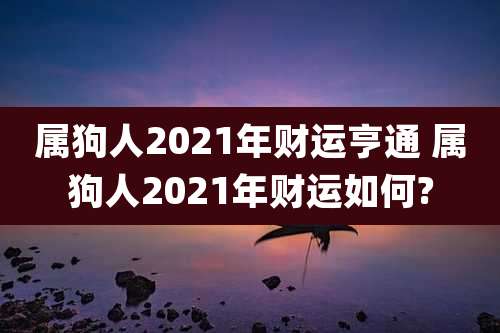 属狗人2021年财运亨通 属狗人2021年财运如何?
