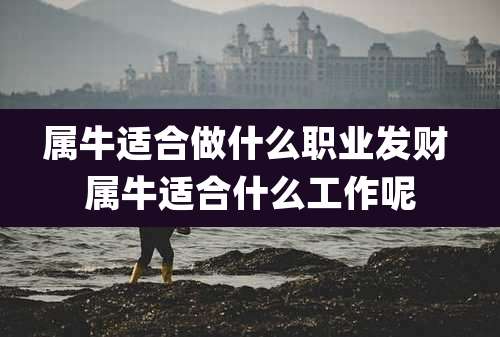 属牛适合做什么职业发财 属牛适合什么工作呢