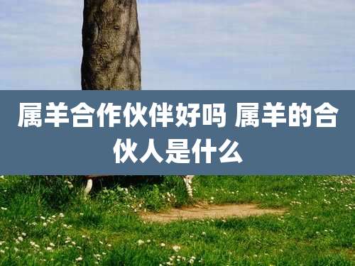 属羊合作伙伴好吗 属羊的合伙人是什么