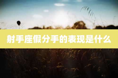 射手座假分手的表现是什么