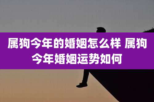 属狗今年的婚姻怎么样 属狗今年婚姻运势如何