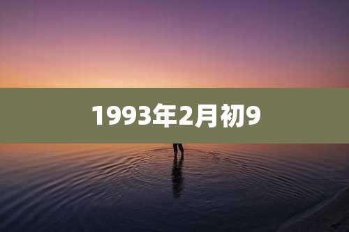 1993年2月初9