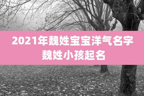 2021年魏姓宝宝洋气名字 魏姓小孩起名