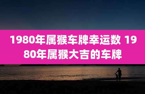 1980年属猴车牌幸运数 1980年属猴大吉的车牌