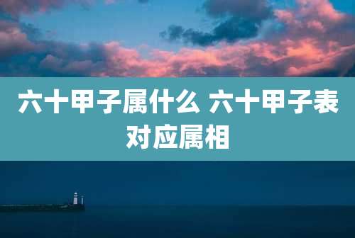 六十甲子属什么 六十甲子表对应属相