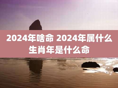 2024年啥命 2024年属什么生肖年是什么命