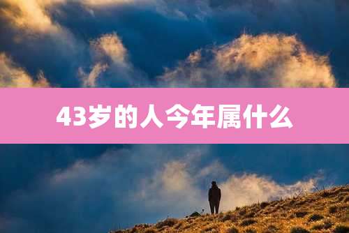 43岁的人今年属什么