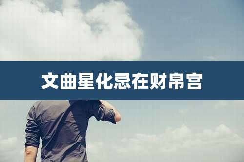 文曲星化忌在财帛宫