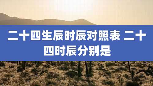 二十四生辰时辰对照表 二十四时辰分别是