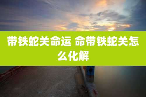 带铁蛇关命运 命带铁蛇关怎么化解