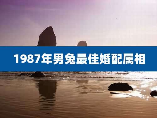 1987年男兔最佳婚配属相