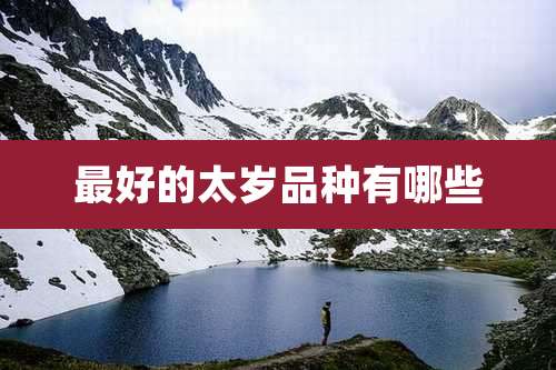 最好的太岁品种有哪些